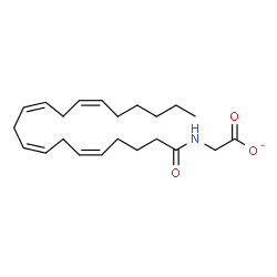 ChemSpider 2D Image | [(5Z,8Z,11Z,14Z)-5,8,11,14-Icosatetraenoylamino]acetate | C22H34NO3