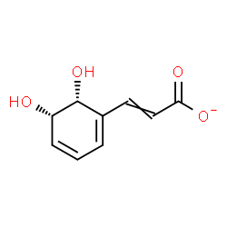 ChemSpider 2D Image | (2E)-3-[(5S,6R)-5,6-Dihydroxy-1,3-cyclohexadien-1-yl]acrylate | C9H9O4