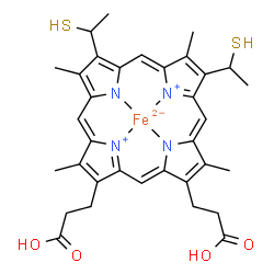 ChemSpider 2D Image | {3,3'-[3,7,12,17-Tetramethyl-8,13-bis(1-sulfanylethyl)-2,18-porphyrindiyl-kappa~4~N~21~,N~22~,N~23~,N~24~]dipropanoato(2-)}iron | C34H36FeN4O4S2