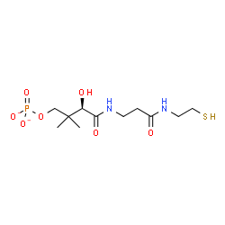 ChemSpider 2D Image | N~3~-[(2R)-2-Hydroxy-3,3-dimethyl-4-(phosphonatooxy)butanoyl]-N-(2-sulfanylethyl)-beta-alaninamide | C11H21N2O7PS