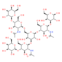ChemSpider 2D Image | beta-D-Galactopyranosyl-(1->4)-2-acetamido-2-deoxy-beta-D-glucopyranosyl-(1->3)-[beta-D-galactopyranosyl-(1->4)-2-acetamido-2-deoxy-beta-D-glucopyranosyl-(1->6)]-beta-D-galactopyranosyl-(1->4)-2-aceta
mido-2-deoxy-beta-D-glucopyranosyl-(1->3)-beta-D-galactopyranose | C48H81N3O36