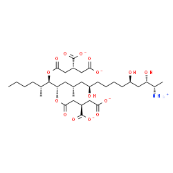 ChemSpider 2D Image | (2R,2'R)-2,2'-{[(5R,6R,7S,9S,11R,16R,18S,19S)-19-Ammonio-11,16,18-trihydroxy-5,9-dimethyl-6,7-icosanediyl]bis[oxy(2-oxo-2,1-ethanediyl)]}disuccinate | C34H56NO15