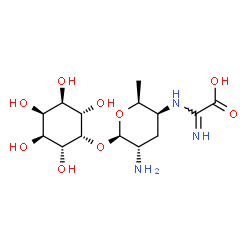 ChemSpider 2D Image | (1s,2R,3S,4R,5R,6S)-2,3,4,5,6-Pentahydroxycyclohexyl 2-amino-4-{[carboxy(imino)methyl]amino}-2,3,4,6-tetradeoxy-beta-L-xylo-hexopyranoside | C14H25N3O9