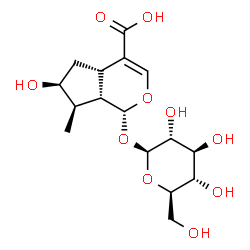ChemSpider 2D Image | (1R,6S,7R,7aS)-1-(beta-D-Glucopyranosyloxy)-6-hydroxy-7-methyl-1,4a,5,6,7,7a-hexahydrocyclopenta[c]pyran-4-carboxylic acid | C16H24O10