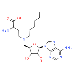 ChemSpider 2D Image | 5'-{[(3S)-3-Amino-3-carboxypropyl](hexyl)amino}-5'-deoxyadenosine | C20H33N7O5
