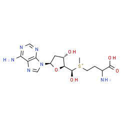 ChemSpider 2D Image | (3-Amino-3-carboxypropyl)[(R)-[(2S,3S,5R)-5-(6-amino-9H-purin-9-yl)-3-hydroxytetrahydro-2-furanyl](hydroxy)methyl]methylsulfonium | C15H23N6O5S