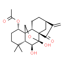 ChemSpider 2D Image | (1alpha,5beta,6beta,7alpha,8alpha,9beta,10alpha)-6,7-Dihydroxy-15-oxo-7,20-epoxykaur-16-en-1-yl acetate | C22H30O6
