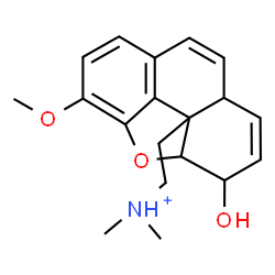 ChemSpider 2D Image | 2-(3-Hydroxy-5-methoxy-3,9a-dihydrophenanthro[4,5-bcd]furan-9b(3aH)-yl)-N,N-dimethylethanaminium | C19H24NO3