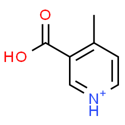 ChemSpider 2D Image | 3-Carboxy-4-methylpyridinium | C7H8NO2