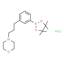 ChemSpider 2D Image | 4-(3-(3-(4,4,5,5-Tetramethyl-1,3,2-dioxaborolan-2-yl)phenyl)propyl)morpholine hydrochloride | C19H31BClNO3