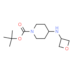 ChemSpider 2D Image | tert-Butyl 4-(oxetan-3-ylamino)piperidine-1-carboxylate | C13H24N2O3