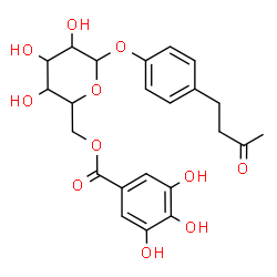 ChemSpider 2D Image | 4-(3-Oxobutyl)phenyl 6-O-(3,4,5-trihydroxybenzoyl)hexopyranoside | C23H26O11