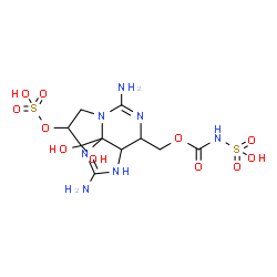 ChemSpider 2D Image | ({[2,6-Diamino-10,10-dihydroxy-9-(sulfooxy)-3a,4,9,10-tetrahydro-1H,8H-pyrrolo[1,2-c]purin-4-yl]methoxy}carbonyl)sulfamic acid | C10H17N7O11S2