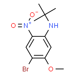 ChemSpider 2D Image | 4-Bromo-5-methoxy-N-(2-methyl-2-propanyl)-2-nitroaniline | C11H15BrN2O3