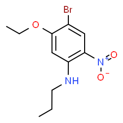 ChemSpider 2D Image | 4-Bromo-5-ethoxy-2-nitro-N-propylaniline | C11H15BrN2O3