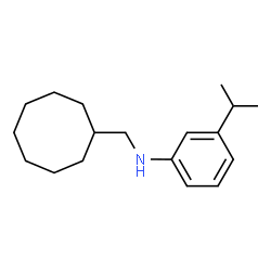 ChemSpider 2D Image | N-(Cyclooctylmethyl)-3-isopropylaniline | C18H29N