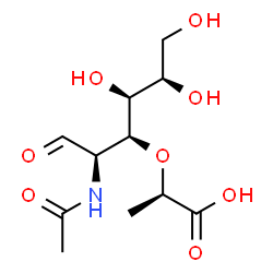 ChemSpider 2D Image | 2-Acetamido-3-O-[(1R)-1-carboxyethyl]-2-deoxy-D-gulose | C11H19NO8