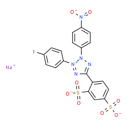 ChemSpider 2D Image | Sodium 4-[3-(4-iodophenyl)-2-(4-nitrophenyl)-2H-tetrazol-3-ium-5-yl]-1,3-benzenedisulfonate | C19H11IN5NaO8S2