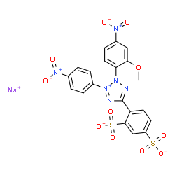 ChemSpider 2D Image | Sodium 4-[2-(2-methoxy-4-nitrophenyl)-3-(4-nitrophenyl)-2H-tetrazol-3-ium-5-yl]-1,3-benzenedisulfonate | C20H13N6NaO11S2