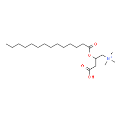 ChemSpider 2D Image | 3-Carboxy-N,N,N-trimethyl-2-(tetradecanoyloxy)-1-propanaminium | C21H42NO4