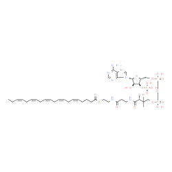 ChemSpider 2D Image | (5Z,8Z,11Z,14Z,17Z)-eicosapentaenoyl-CoA | C41H64N7O17P3S