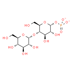ChemSpider 2D Image | maltose 1-phosphate(2-) | C12H21O14P