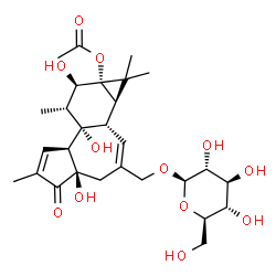 ChemSpider 2D Image | fischeroside C | C28H40O12
