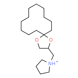 ChemSpider 2D Image | 1-(1,4-Dioxaspiro[4.11]hexadec-2-ylmethyl)pyrrolidinium | C19H36NO2