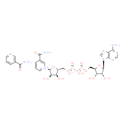 ChemSpider 2D Image | [[(2R,3S,4R,5R)-5-(6-aminopurin-9-yl)-3,4-dihydroxy-tetrahydrofuran-2-yl]methoxy-hydroxy-phosphoryl] [(2R,3S,4R,5R)-5-(3-carbamoylpyridin-1-ium-1-yl)-3,4-dihydroxy-tetrahydrofuran-2-yl]methyl phosphate; pyridine-3-carboxamide | C27H33N9O15P2