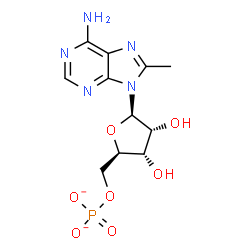 ChemSpider 2D Image | [(2R,3S,4R,5R)-5-(6-amino-8-methyl-purin-9-yl)-3,4-dihydroxy-tetrahydrofuran-2-yl]methyl phosphate | C11H14N5O7P