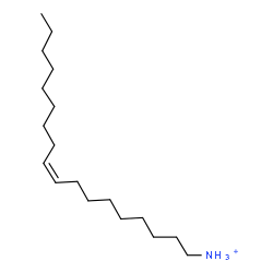 ChemSpider 2D Image | (9Z)-9-Octadecen-1-aminium | C18H38N