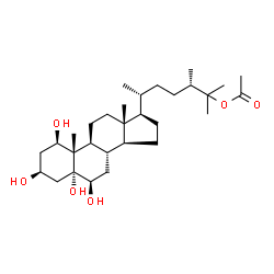 ChemSpider 2D Image | (1beta,3beta,5alpha,6beta)-1,3,5,6-Tetrahydroxyergostan-25-yl acetate | C30H52O6