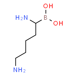 ChemSpider 2D Image | (1,5-Diaminopentyl)boronic acid | C5H15BN2O2