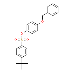 ChemSpider 2D Image | 4-(Benzyloxy)phenyl 4-(2-methyl-2-propanyl)benzenesulfonate | C23H24O4S