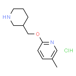 ChemSpider 2D Image | 5-Methyl-2-(3-piperidinylmethoxy)pyridine hydrochloride (1:1) | C12H19ClN2O