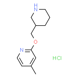 ChemSpider 2D Image | 4-Methyl-2-(3-piperidinylmethoxy)pyridine hydrochloride (1:1) | C12H19ClN2O