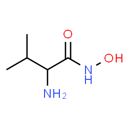 ChemSpider 2D Image | N-Hydroxyvalinamide | C5H12N2O2