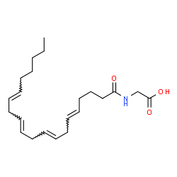ChemSpider 2D Image | 2-(1-oxoeicosa-5,8,11,14-tetraenylamino)acetic acid | C22H35NO3