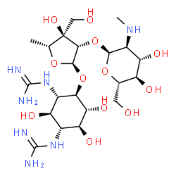 ChemSpider 2D Image | 1,1'-[(1R,2R,3S,4R,5R,6S)-4-({5-Deoxy-2-O-[2-deoxy-2-(methylamino)-alpha-L-glucopyranosyl]-3-C-(hydroxymethyl)-alpha-D-arabinofuranosyl}oxy)-2,5,6-trihydroxy-1,3-cyclohexanediyl]diguanidine | C21H41N7O12