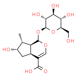 ChemSpider 2D Image | (4aS,6S,7R,7aS)-1-(beta-D-Glucopyranosyloxy)-6-hydroxy-7-methyl-1,4a,5,6,7,7a-hexahydrocyclopenta[c]pyran-4-carboxylic acid | C16H24O10