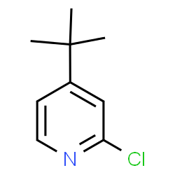 ChemSpider 2D Image | 4-tert-Butyl-2-chloro-pyridine | C9H12ClN