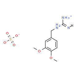 ChemSpider 2D Image | (E)-N-(3,4-Dimethoxybenzyl)(imino)methanediaminium sulfate | C10H17N3O6S
