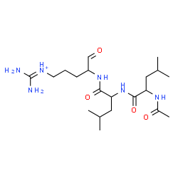 ChemSpider 2D Image | N-Acetylleucyl-N-{5-[(diaminomethylene)ammonio]-1-oxo-2-pentanyl}leucinamide | C20H39N6O4