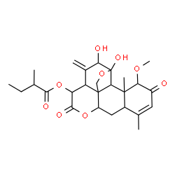 ChemSpider 2D Image | 11,12-Dihydroxy-1-methoxy-2,16-dioxo-11,20-epoxypicrasa-3,13(21)-dien-15-yl 2-methylbutanoate | C26H34O9