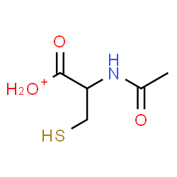 ChemSpider 2D Image | (2-Acetamido-3-sulfanylpropanoyl)oxonium | C5H10NO3S