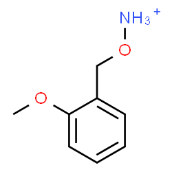 ChemSpider 2D Image | [(2-Methoxybenzyl)oxy]ammonium | C8H12NO2