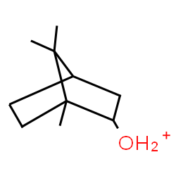ChemSpider 2D Image | (1,7,7-Trimethylbicyclo[2.2.1]hept-2-yl)oxonium | C10H19O
