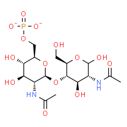 ChemSpider 2D Image | 2-Acetamido-4-O-(2-acetamido-2-deoxy-6-O-phosphonato-beta-D-glucopyranosyl)-2-deoxy-D-glucopyranose | C16H27N2O14P