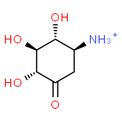 ChemSpider 2D Image | (1S,2R,3S,4R)-2,3,4-Trihydroxy-5-oxocyclohexanaminium | C6H12NO4