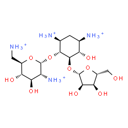 ChemSpider 2D Image | (1R,2R,3S,4R,6S)-4,6-Diammonio-3-hydroxy-2-(beta-D-ribofuranosyloxy)cyclohexyl 2,6-diammonio-2,6-dideoxy-alpha-D-glucopyranoside | C17H38N4O10